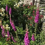 Bed & Breakfast Chateau Normandy - Viking Heritage, Pet Friedly *