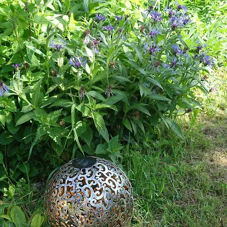 Bed & Breakfast Chateau En Normandie Planquery