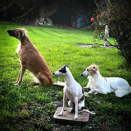 Chateau En Normandie