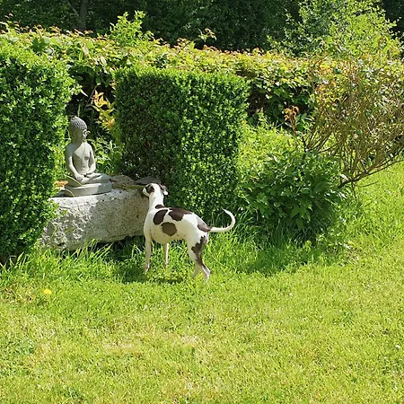 Chateau Normandy - Viking Heritage, Pet Friedly Bed and Breakfast *