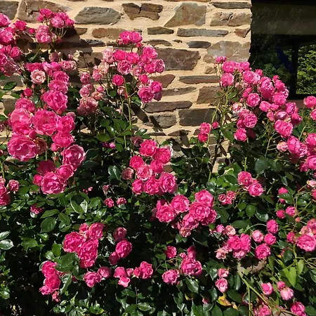 Chateau Normandy - Viking Heritage, Pet Friedly * Planquery