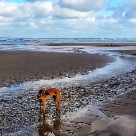 Chateau En Normandie