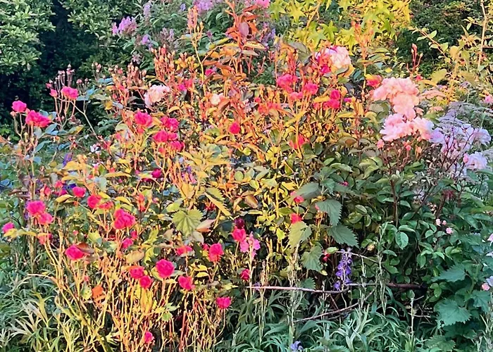 Chateau En Normandie Bed & Breakfast Planquery