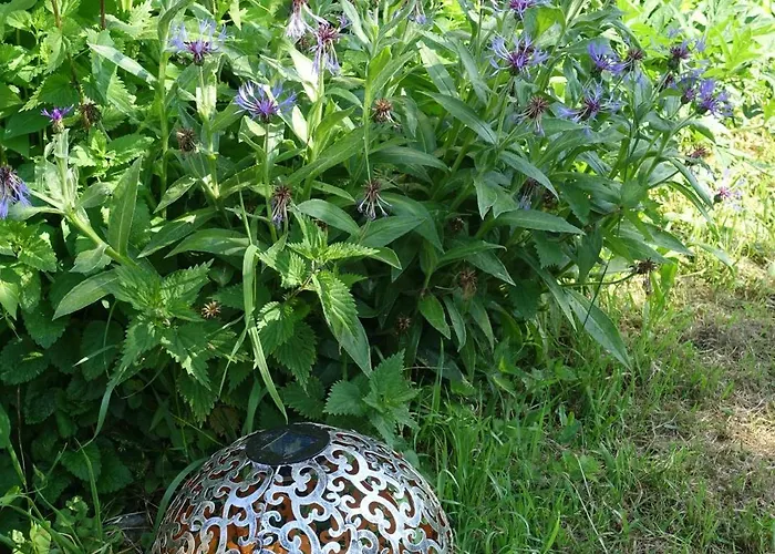 Bed & Breakfast Chateau En Normandie Planquery