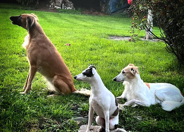 Château en Normandie