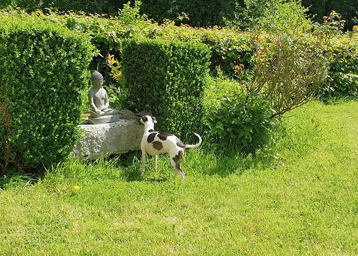 Chateau En Normandie Bed & Breakfast *