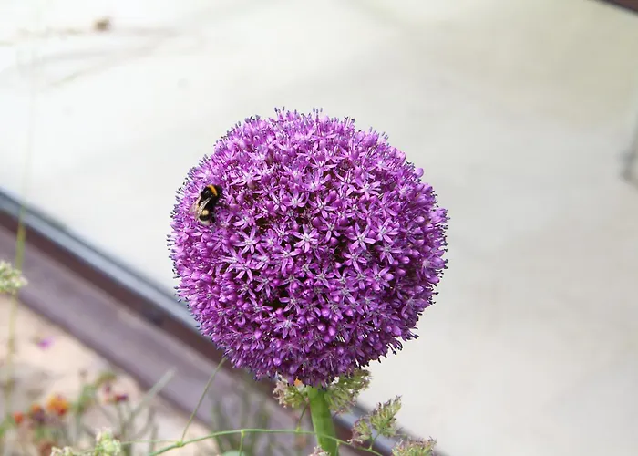 Chateau Normandy - Viking Heritage, Pet Friedly *