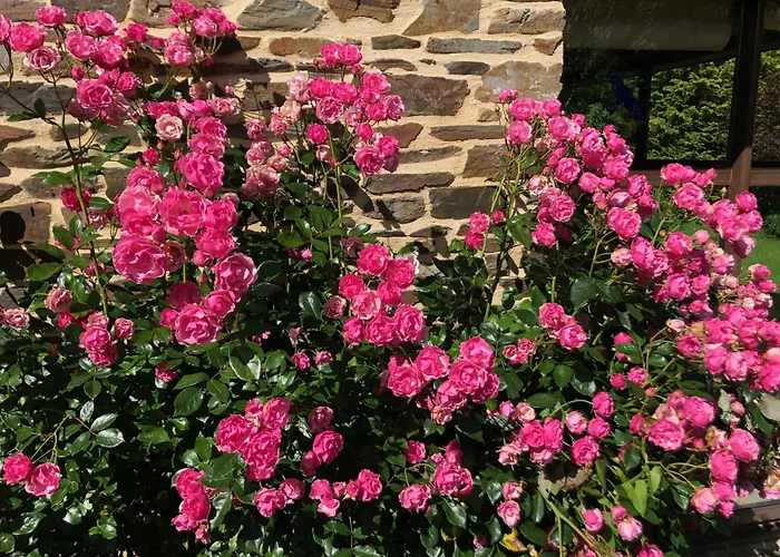 Chateau Normandy - Viking Heritage, Pet Friedly * Planquery