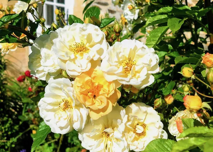 Chateau Normandy - Viking Heritage, Pet Friedly Planquery