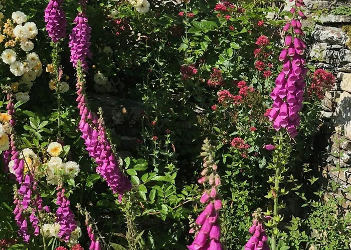 Bed & Breakfast Chateau En Normandie *